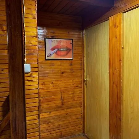 Smestaj Bulajic Holiday home *